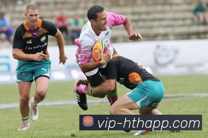 华体会体育平台生态图